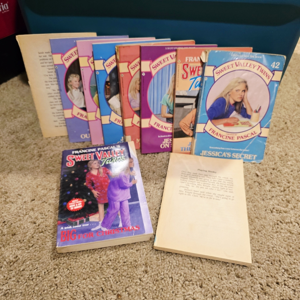 Sweet Valley Twins Book Collection